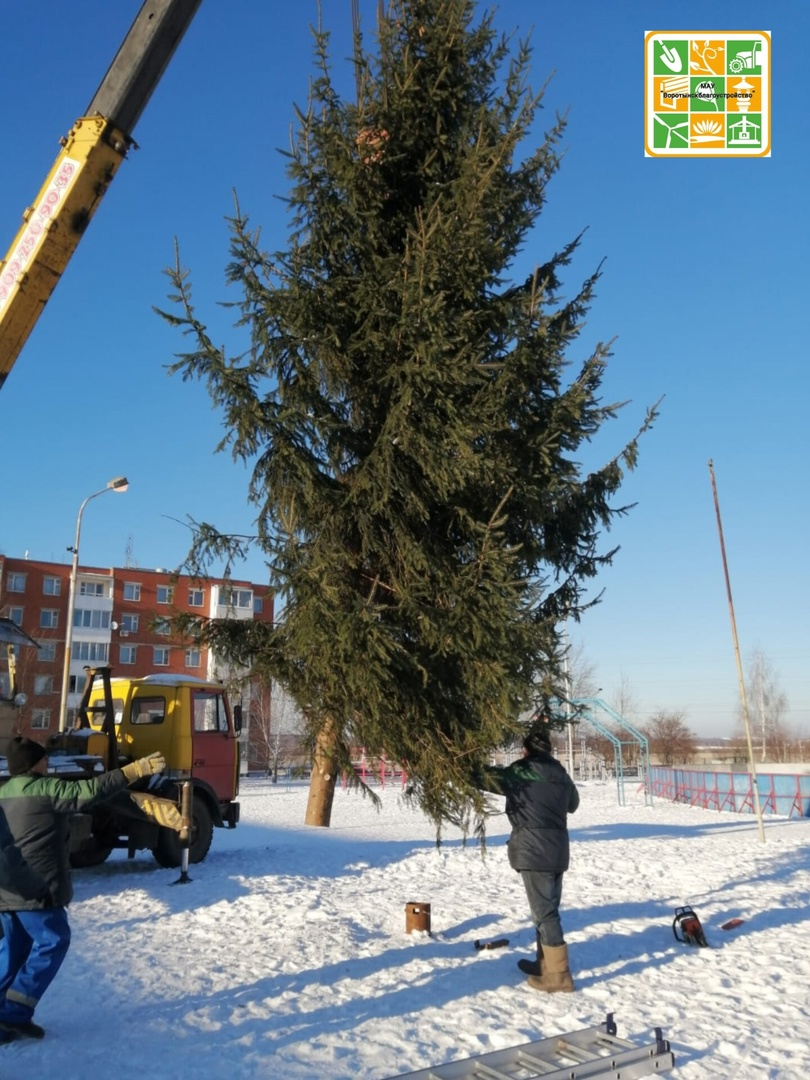 В Воротынске установили главные новогодние елки