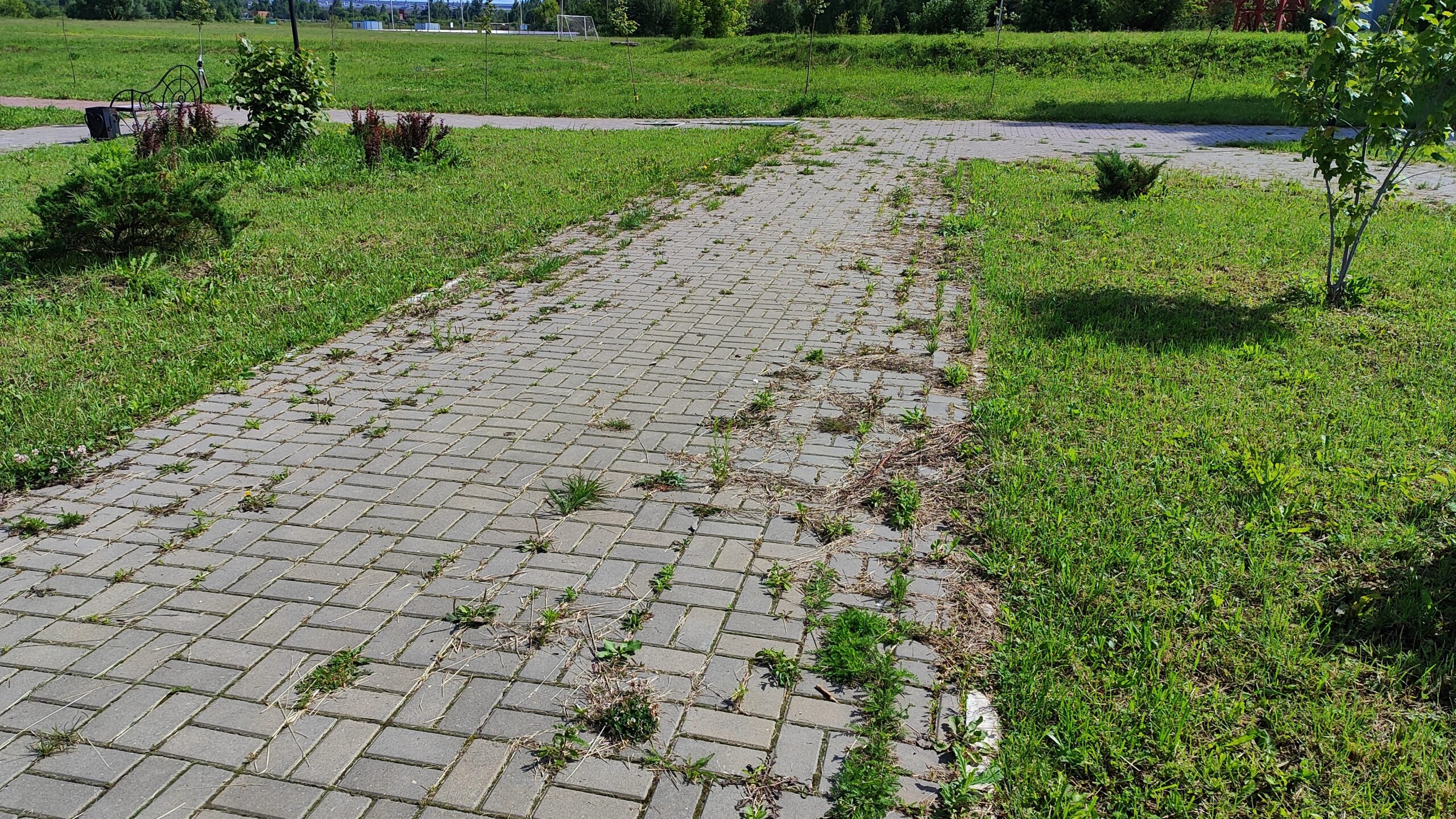 Городской парк п. Воротынск: все для людей?