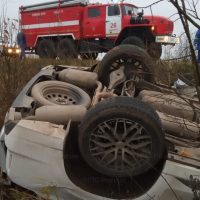 В Бабынинском районе автомобиль «EXEED VX» сбил корову